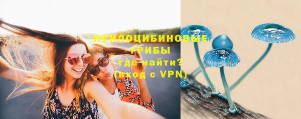 Альфа ПВП Бородино