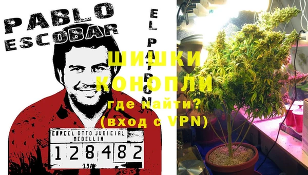 Альфа ПВП Бородино