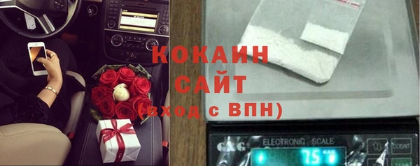 Альфа ПВП Бородино
