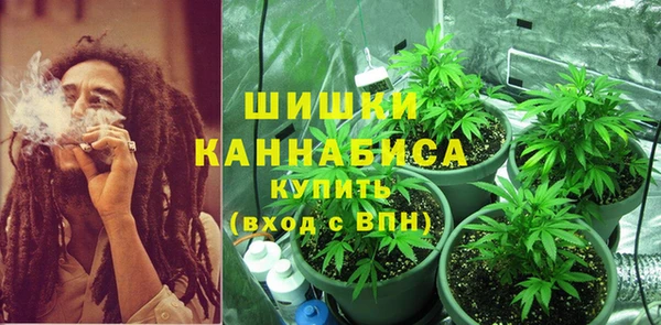 Альфа ПВП Бородино