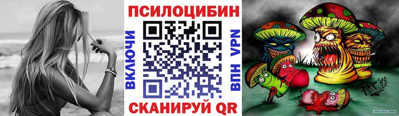 Купить  Онега  Галлюциногенные грибы Psilocybe 